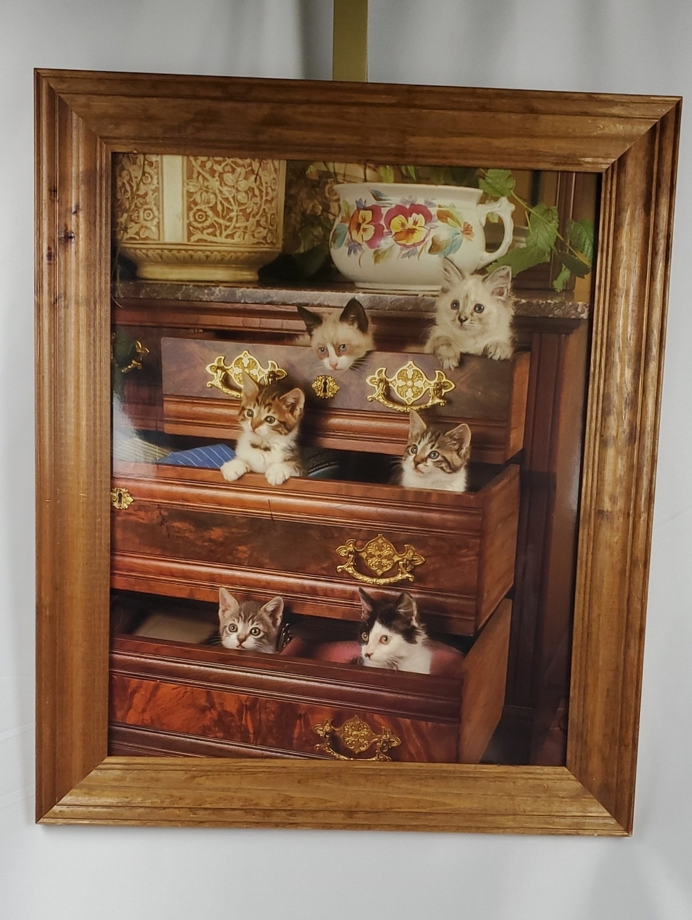 Vintage Framed Kittens in Drawers Art Print/Photograph - Brown Wood Fram